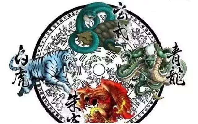 澳门白虎玄机精准玄武,澳门白虎玄机与玄武精准解析