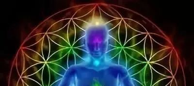 最准一肖一码一一子中特l,揭秘最准一肖一码一一子中特之秘