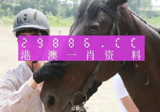 今晚澳门最准一肖一码,今晚澳门最准一肖一码，揭秘幸运之门背后的秘密