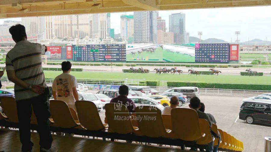 2022澳门特马今晚开奖现场实况,2022澳门特马今晚开奖现场实况——紧张激动的时刻
