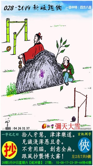 跑狗图993994www跑狗玄机,揭秘跑狗图993994背后的玄机与真相探索