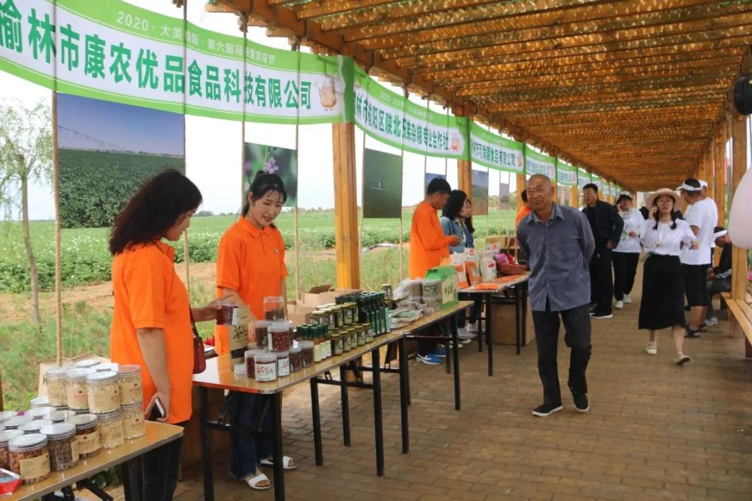 科技 第199页
