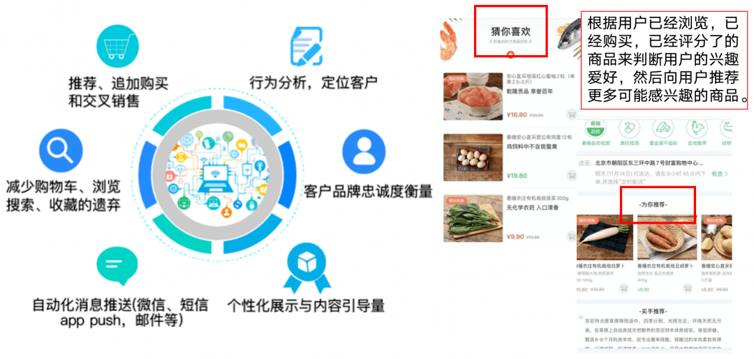 精准一码免费公开澳门,精准一码免费公开澳门，揭秘真相与探索可能性