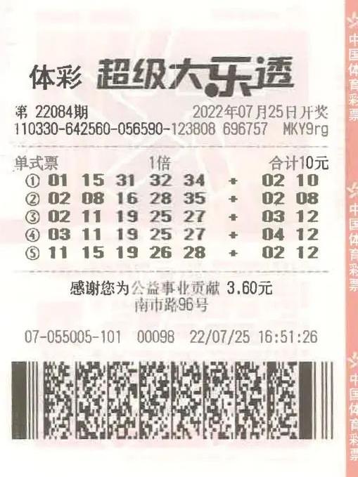 二码中特期期准资料,二码中特期期准资料，揭秘彩票背后的秘密与策略