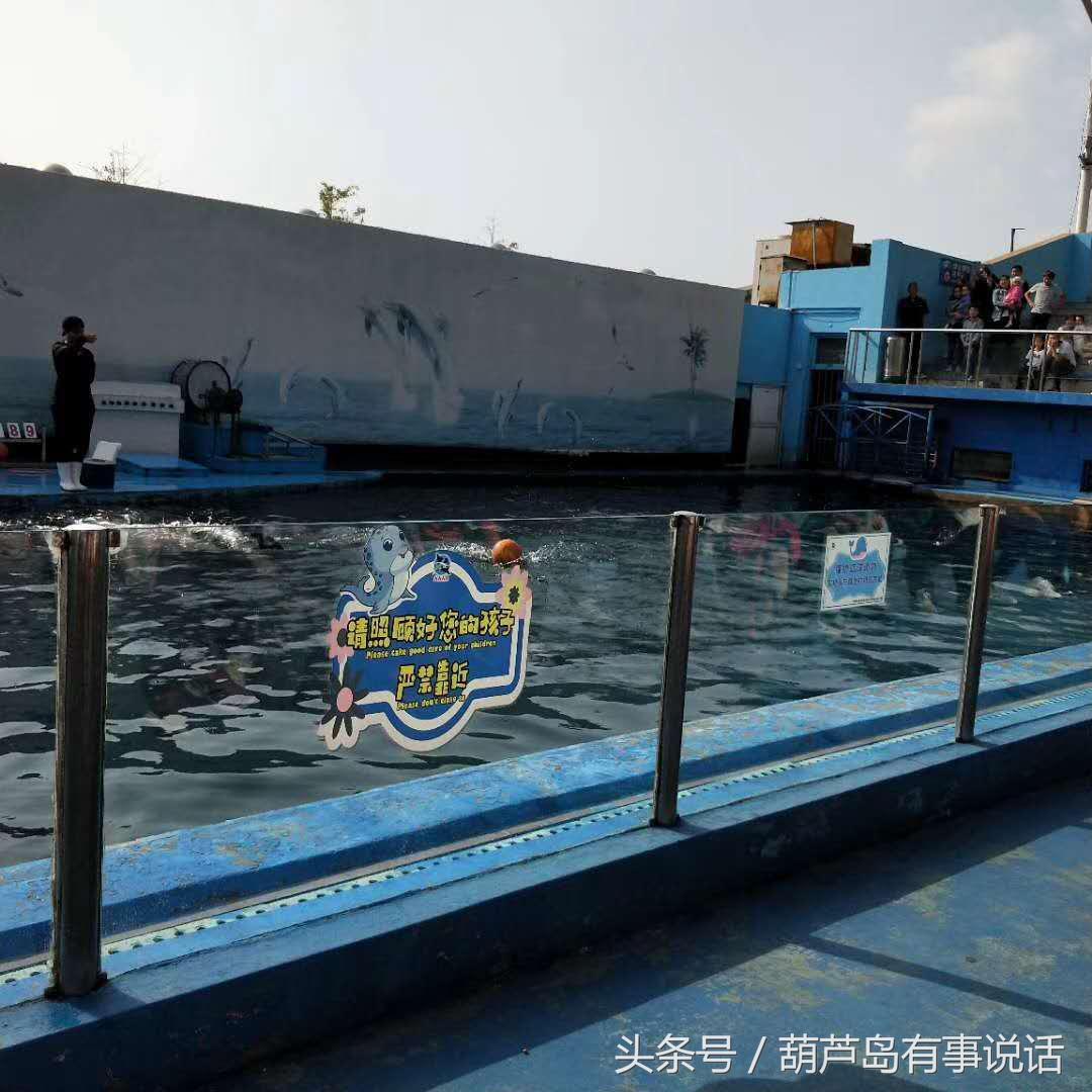 2025新澳天天彩免费资料,探索未来幸运之门，2025新澳天天彩免费资料