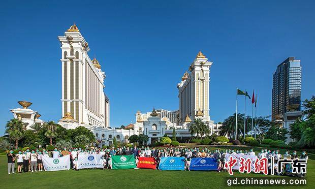 新澳门正牌挂牌之全篇,新澳门正牌挂牌之全篇——探索与解读