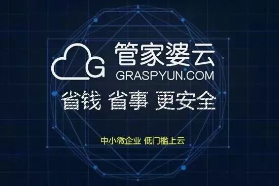 新澳门管家婆的一句话,新澳门管家婆的一句话，智慧与勇气的象征