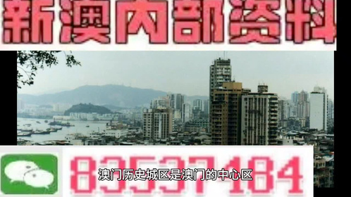 澳门正版资料全年免费看啊,澳门正版资料的重要性及其全年免费观看的价值