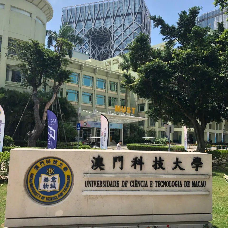 2023澳门六开奖结果查询,澳门六开奖结果查询，探索最新开奖动态与查询方法（2023年）