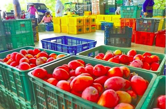 澳门香港的资料查询,澳门与香港，两地资料的深度查询