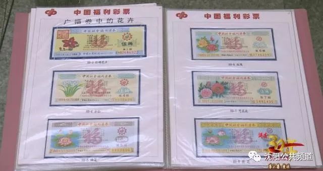 2025天天开好彩大全183期,探索未来的幸运之门，2025天天开好彩大全第183期