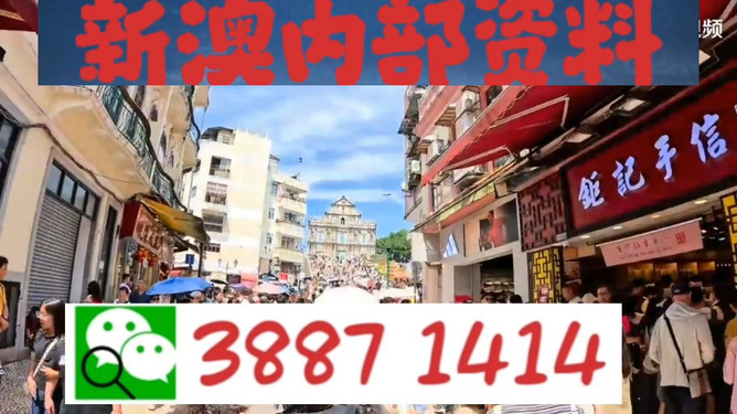 澳门今晚必开一肖1,澳门今晚必开一肖，探寻幸运之城的秘密