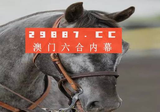 澳门最准一肖一码,澳门最准一肖一码，揭秘与探索