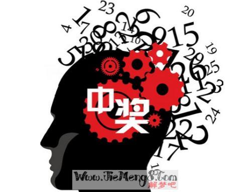 二四六天天彩资料大全网最新排期,二四六天天彩资料大全网最新排期，彩票玩家的必备指南