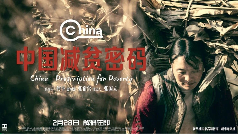 2025新版四不像今晚上映,重磅发布，2025新版四不像电影今晚上映