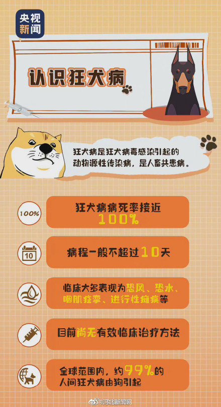 一码一肖100准确使用方法,一码一肖，揭秘100%准确使用方法的智慧