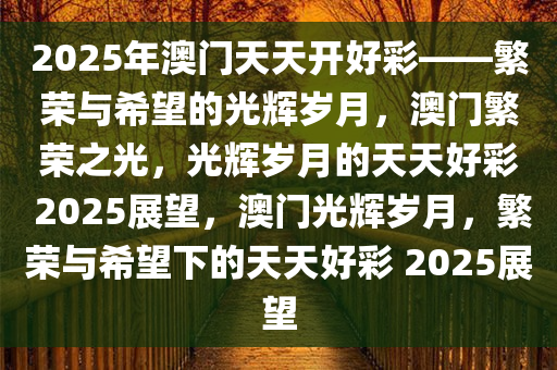 2025年新溪门天天开彩,新溪门，开启未来的彩梦之门