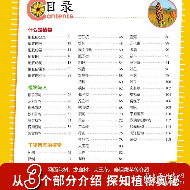 正版资料全年资料大全4949,正版资料全年资料大全4949，一站式获取所有你需要的知识资源