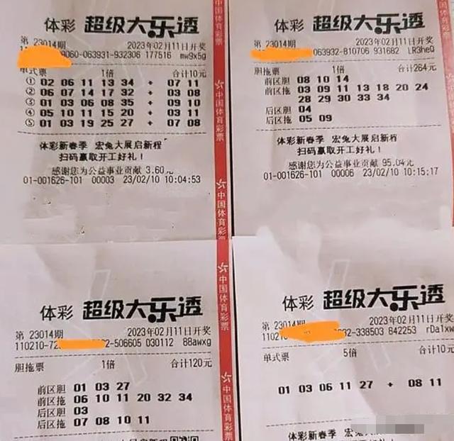 新澳门今晚开奖结果+开奖,新澳门今晚开奖结果及开奖概述