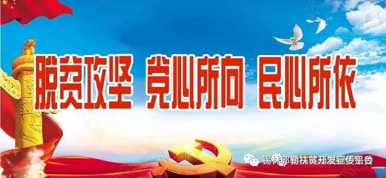 新奥门特免费资料大全7456,新澳门特免费资料大全，探索与深入了解