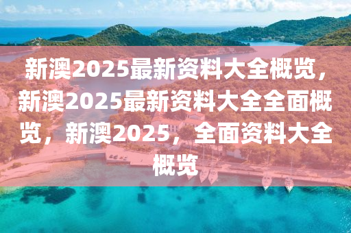 新澳2025大全正版免费资料,新澳2025大全正版免费资料，探索与启示
