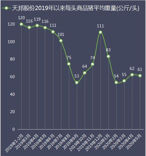 澳门王中王100精准数据解读,澳门王中王精准数据解读，探索数据与命运的交汇点