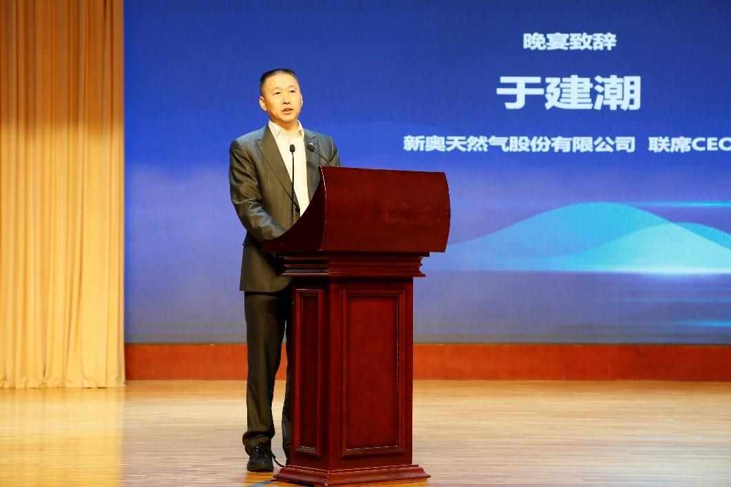 新奥2025年免费资料大全,新奥2025年免费资料大全，探索未来，共创辉煌