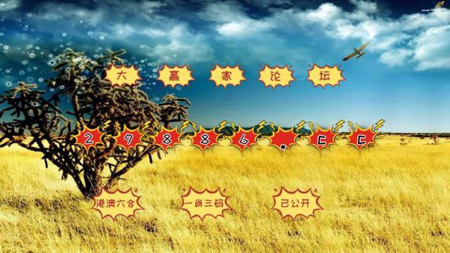 4949澳门天彩艺术全年免费资料,澳门天彩艺术全年免费资料，探索与赏析