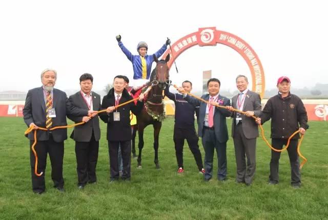 澳门马会传真(内部资料)新手攻略,澳门马会传真(内部资料)新手攻略，入门指南与赛马世界探索