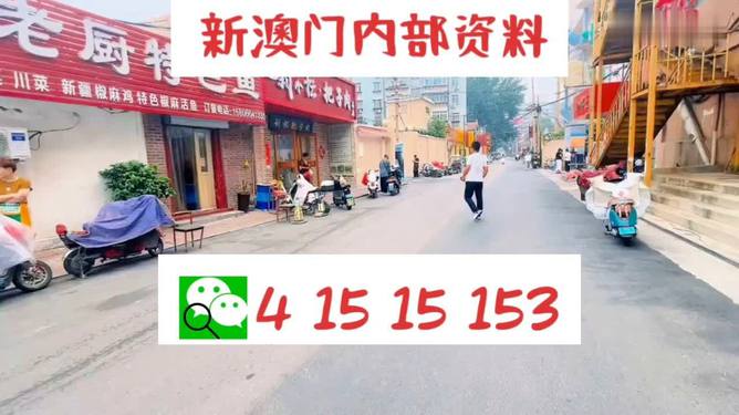 看新澳门天天好开什么,新澳门天天好，探索彩票的奥秘与乐趣