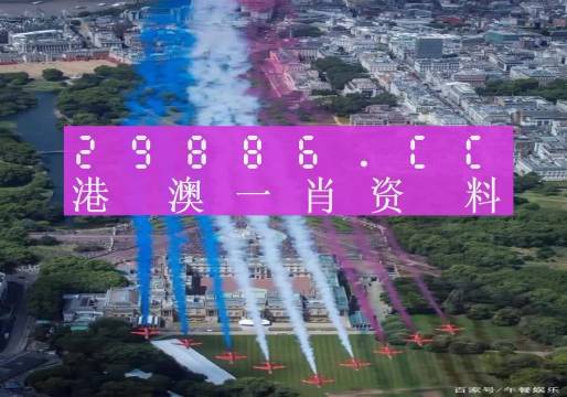 澳门精准一肖一码一一中,澳门精准一肖一码一一中的奥秘探索