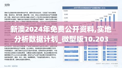 2025新澳精准正版资料,探索未来，揭秘2025新澳精准正版资料的价值与影响