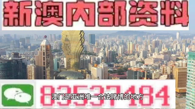 澳门资料精准免费大全,澳门资料精准免费大全，探索与发现