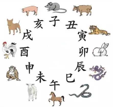 十二生肖与2025年之49个码,十二生肖与2025年之49个码，探索传统与未来的交融