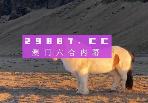 7777788888新澳门开奖2025年,探索新澳门开奖，2025年的77777与88888的魅力