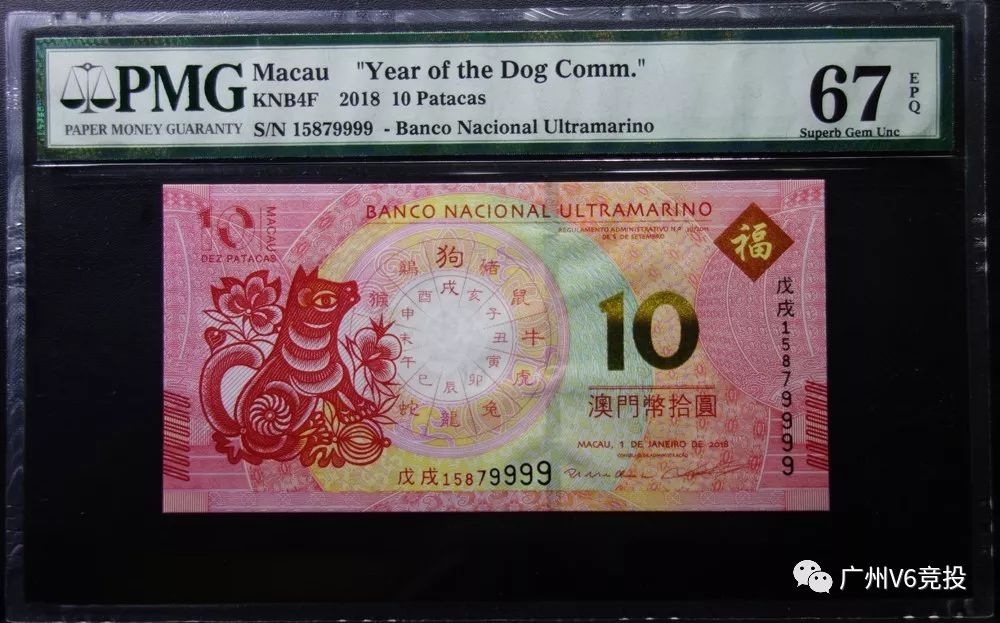 澳门今晚上必开一肖,澳门今晚上必开一肖，探索生肖彩票的魅力与神秘