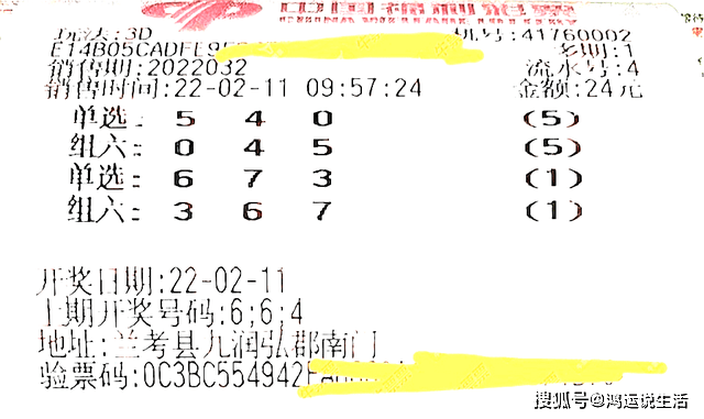 澳门六开彩天天开奖193期,澳门六开彩天天开奖的魅力与期待，第193期的独特风采