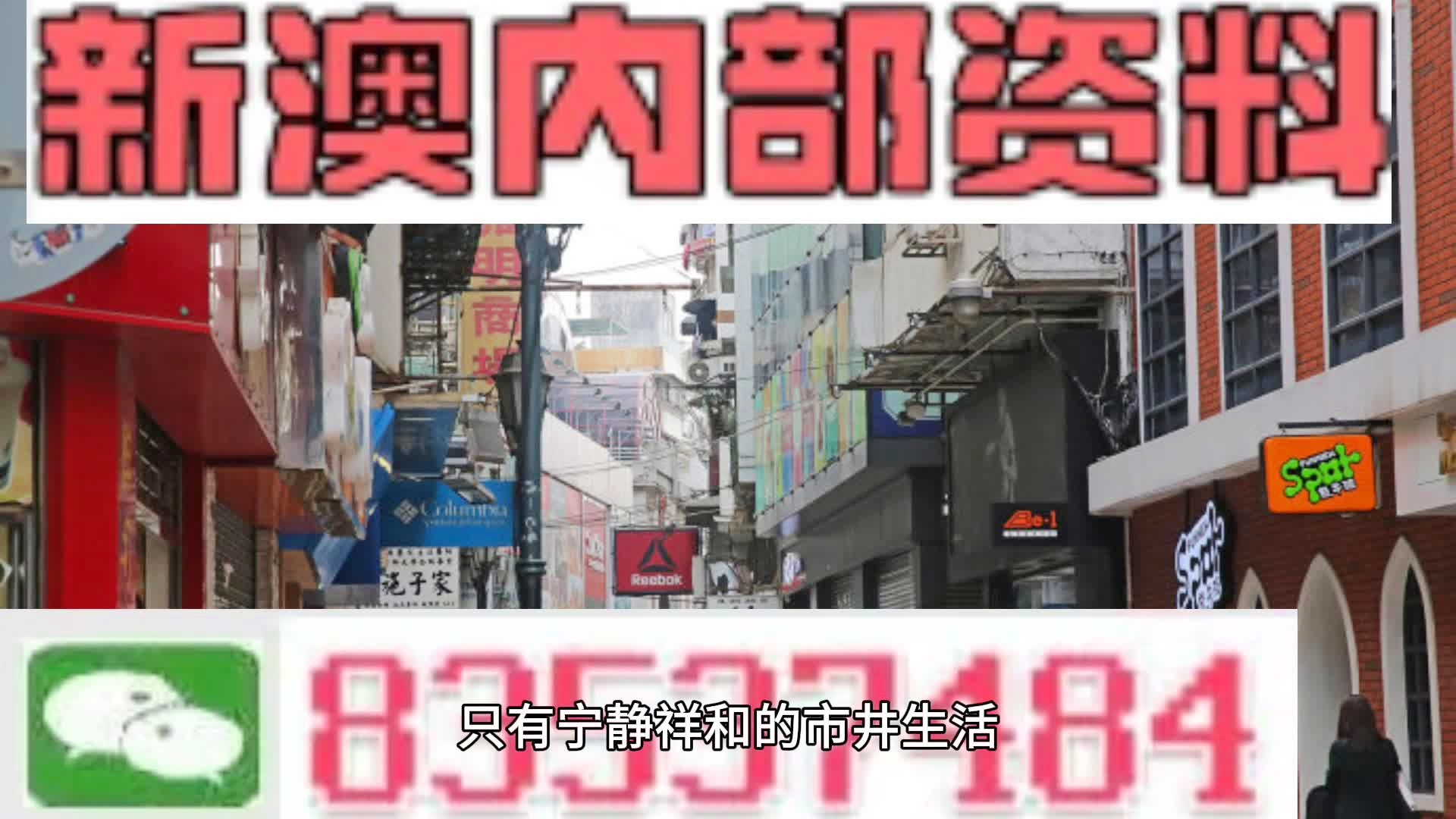 新奥门特免费资料查询,新澳门特区免费资料查询，探索与了解