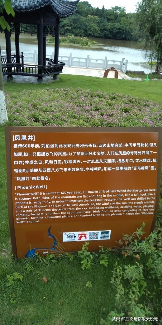 刘伯温四码八肖八码凤凰视频,刘伯温四码八肖八码凤凰视频，传奇与现代的交融