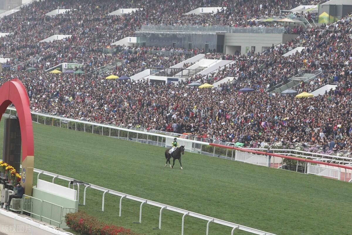 香港今晚开什么特马,香港今晚的马票揭晓，探索赛马文化背后的故事