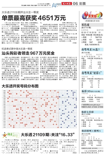 2004年澳门天天开好彩大全,2004年澳门天天开好彩大全——回顾与展望