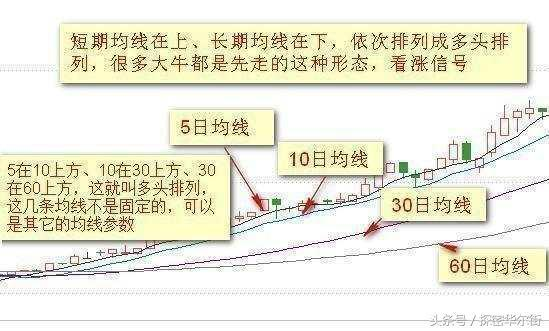 三肖三期必出特马,三肖三期必出特马之奥秘探究