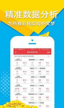 澳门王中王100期期中一期,澳门王中王100期期中一期，探索彩票背后的故事与魅力