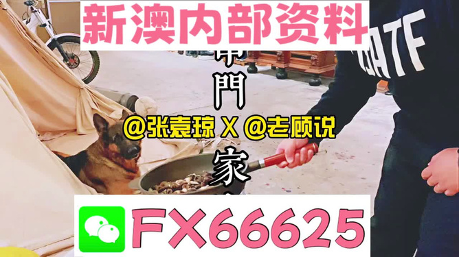 管家婆2025正版资料大全,管家婆2025正版资料大全，探索与解析