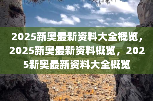 2025新奥全年资料免费大全,揭秘2025新奥全年资料免费大全，一站式获取所有你需要的信息