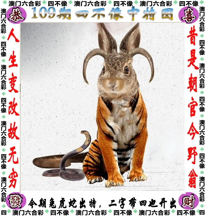 精准四不像必中一肖图,精准四不像必中一肖图，揭秘彩票预测的神秘面纱
