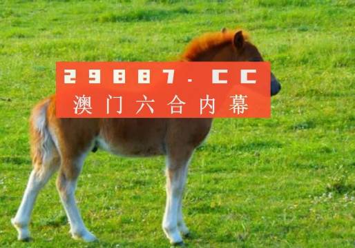 新澳门一肖一码中恃,新澳门一肖一码中恃的秘密与魅力