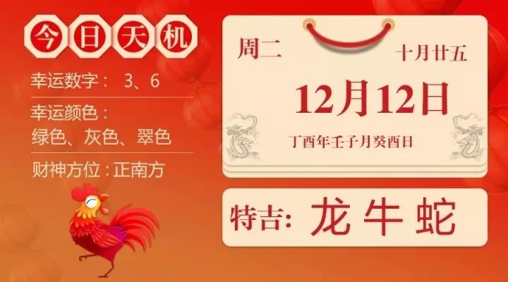 100%一肖一码100%精准,揭秘一肖一码，精准预测的神秘面纱